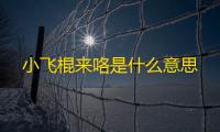 小飞棍来咯是什么意思